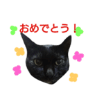 くろねこすみ様（個別スタンプ：15）