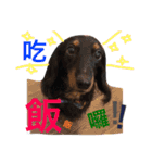 "Q chiang" is coming.（個別スタンプ：6）