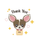 Little Dog Club (Chihuahua)（個別スタンプ：2）