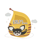 Little Dog Club (Chihuahua)（個別スタンプ：6）