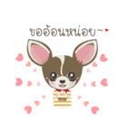 Little Dog Club (Chihuahua)（個別スタンプ：7）