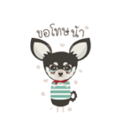 Little Dog Club (Chihuahua)（個別スタンプ：14）