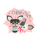 Little Dog Club (Chihuahua)（個別スタンプ：15）