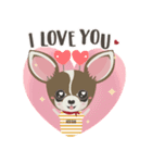 Little Dog Club (Chihuahua)（個別スタンプ：17）