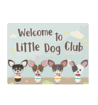 Little Dog Club (Chihuahua)（個別スタンプ：19）