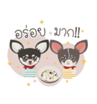 Little Dog Club (Chihuahua)（個別スタンプ：20）