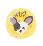 Little Dog Club (Chihuahua)（個別スタンプ：23）