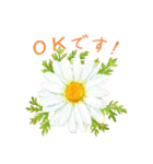 大人かわいい水彩の花とやさしい言葉（個別スタンプ：4）