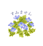 大人かわいい水彩の花とやさしい言葉（個別スタンプ：6）