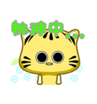 Cute striped cat. CAT156（個別スタンプ：24）