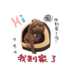 Two brothers＆dog（個別スタンプ：11）