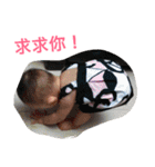 Cute Bebe3（個別スタンプ：39）