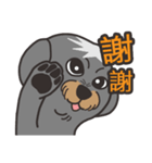 Migo is a dog（個別スタンプ：1）