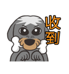 Migo is a dog（個別スタンプ：3）