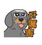 Migo is a dog（個別スタンプ：6）