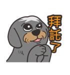 Migo is a dog（個別スタンプ：7）