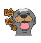 Migo is a dog（個別スタンプ：9）