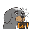 Migo is a dog（個別スタンプ：13）