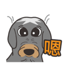 Migo is a dog（個別スタンプ：14）