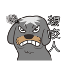 Migo is a dog（個別スタンプ：19）