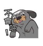 Migo is a dog（個別スタンプ：21）