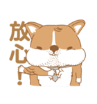 Corgi Pure - Work with you（個別スタンプ：26）