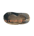 what animals want to say（個別スタンプ：7）