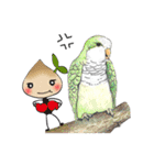 Seed man＆Parrots（個別スタンプ：11）