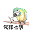 Seed man＆Parrots（個別スタンプ：29）