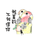 Seed man＆Parrots（個別スタンプ：34）