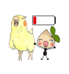 Seed man＆Parrots（個別スタンプ：38）