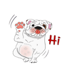 Mali English bulldog（個別スタンプ：1）