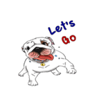 Mali English bulldog（個別スタンプ：10）