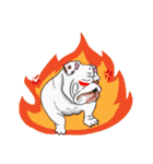 Mali English bulldog（個別スタンプ：12）