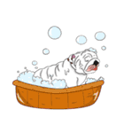 Mali English bulldog（個別スタンプ：23）