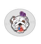 Mali English bulldog（個別スタンプ：24）