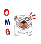 Mali English bulldog（個別スタンプ：30）