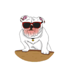 Mali English bulldog（個別スタンプ：38）