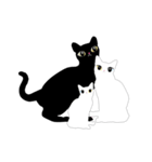 Double Cats B＆W（個別スタンプ：13）