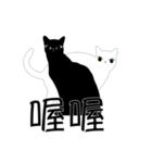 Double Cats B＆W（個別スタンプ：17）