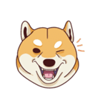 Fat Shiba Inuu（個別スタンプ：1）