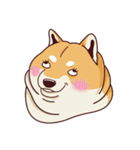 Fat Shiba Inuu（個別スタンプ：2）