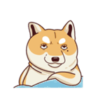 Fat Shiba Inuu（個別スタンプ：3）