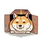 Fat Shiba Inuu（個別スタンプ：8）