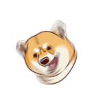 Fat Shiba Inuu（個別スタンプ：11）