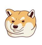 Fat Shiba Inuu（個別スタンプ：12）