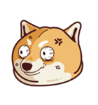 Fat Shiba Inuu（個別スタンプ：15）