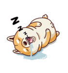 Fat Shiba Inuu（個別スタンプ：17）