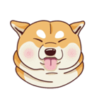 Fat Shiba Inuu（個別スタンプ：20）