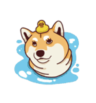 Fat Shiba Inuu（個別スタンプ：30）